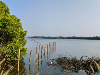 Pazhayangadi - Photo 3