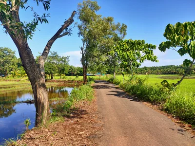 Payyanur - Photo 3