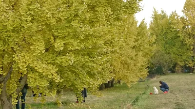 Hirokawa - Photo 3