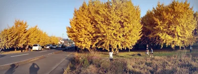 Hirokawa - Photo 4