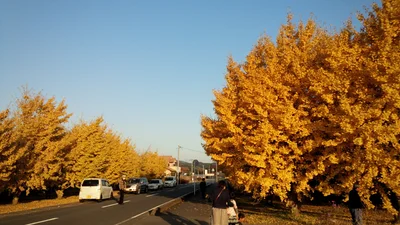Hirokawa - Photo 5