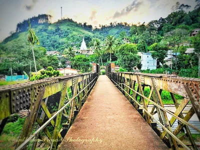 Nawalapitiya - Photo 5