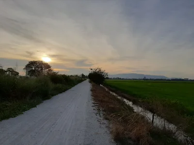 Permatang Pauh - Photo 2