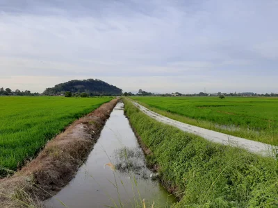 Permatang Pauh - Photo 3