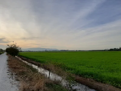 Permatang Pauh - Photo 4