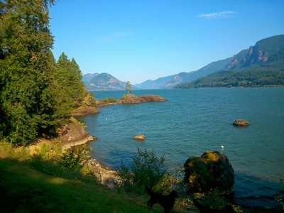 Stevenson - Photo 5