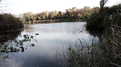 Chesapeake City - Photo 5