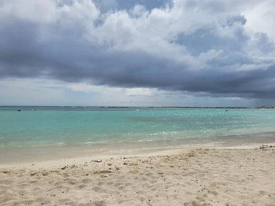Blue Reef - Photo 3