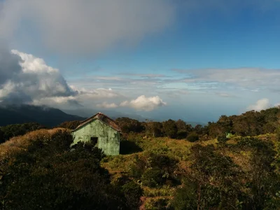 Blue Mountains National Park - Photo 5