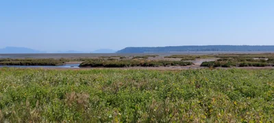 Point Roberts - Photo 4