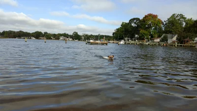 Edgewater - Photo 3