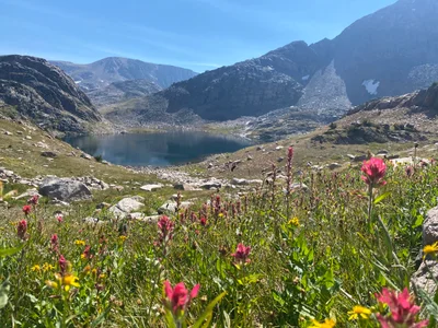 Beartooth Mountains - Photo 3