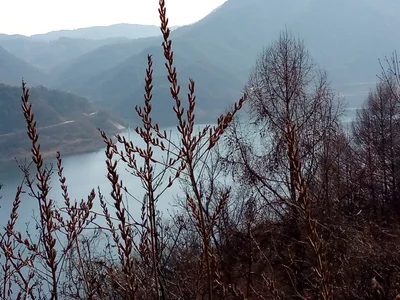 Yeongju-si - Photo 5