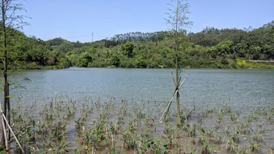 Yingde - Photo 5