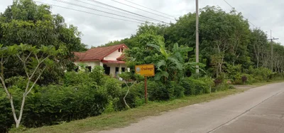 Nuea Khlong - Photo 4