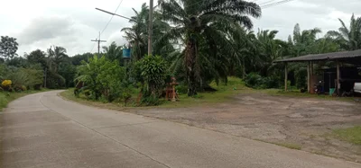 Nuea Khlong - Photo 5