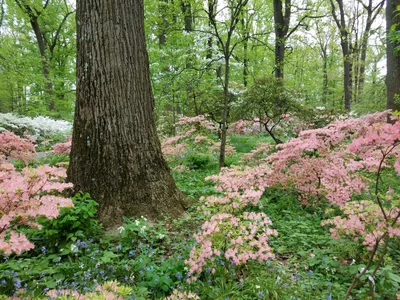 Winterthur - Photo 2