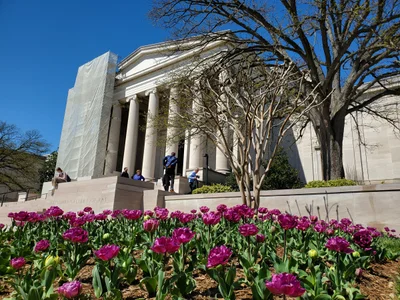 Washington DC - Photo 2