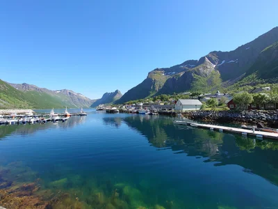 Senja - Photo 2
