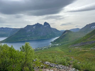 Senja - Photo 3