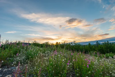 Kiruna kommun - Photo 5