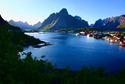 Reine - Photo 2