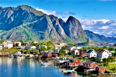 Reine - Photo 3