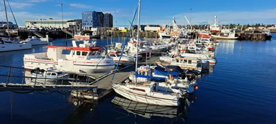 Hafnarfjarðarkaupstaður - Photo 3