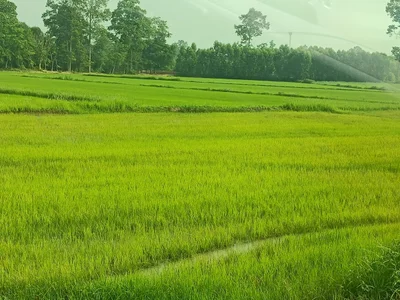 Lashio Township - Photo 3