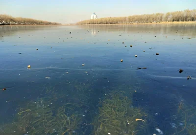 Tangshan - Photo 4