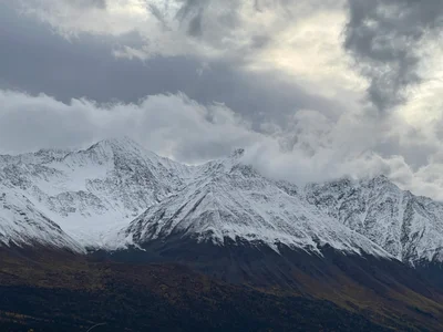 Haines Junction - Photo 4