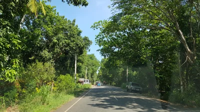 Thanamalwila - Photo 4