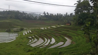Pupuan - Photo 2