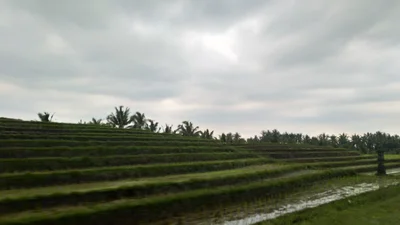 Pupuan - Photo 3