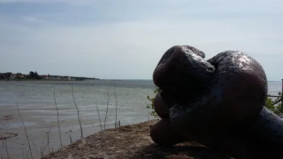 Höganäs kommun - Photo 5
