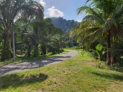 Kapong - Photo 2