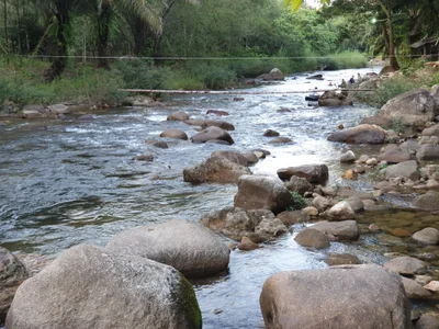 Kapong - Photo 5