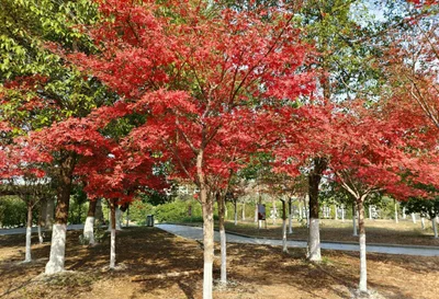Hengyang - Photo 5