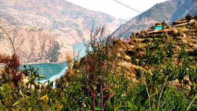 Doda - Photo 2