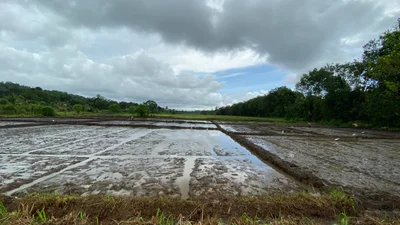 Kosgoda - Photo 5