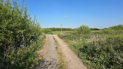 Formby - Photo 4