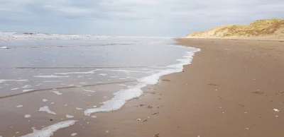 Formby - Photo 5