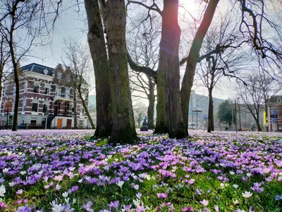 Groningen - Photo 3