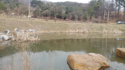 Gunpo-si - Photo 2