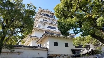 Matsuyama - Photo 4