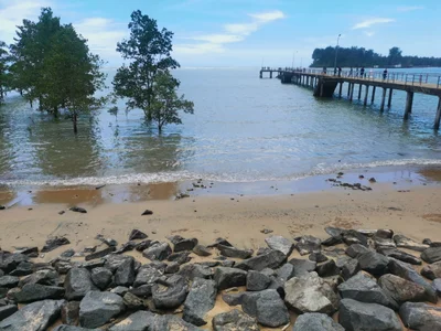Lundu - Photo 3
