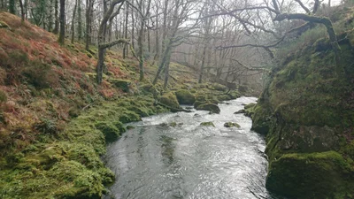 Maentwrog - Photo 3