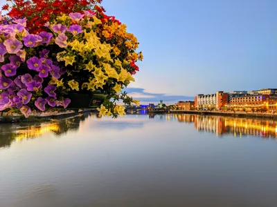 Limerick - Photo 2