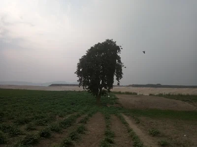 Amarapura Township - Photo 2