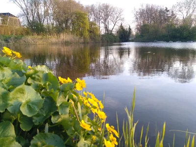 Alkmaar - Photo 3